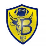 Mecklenburg Bulls Logo